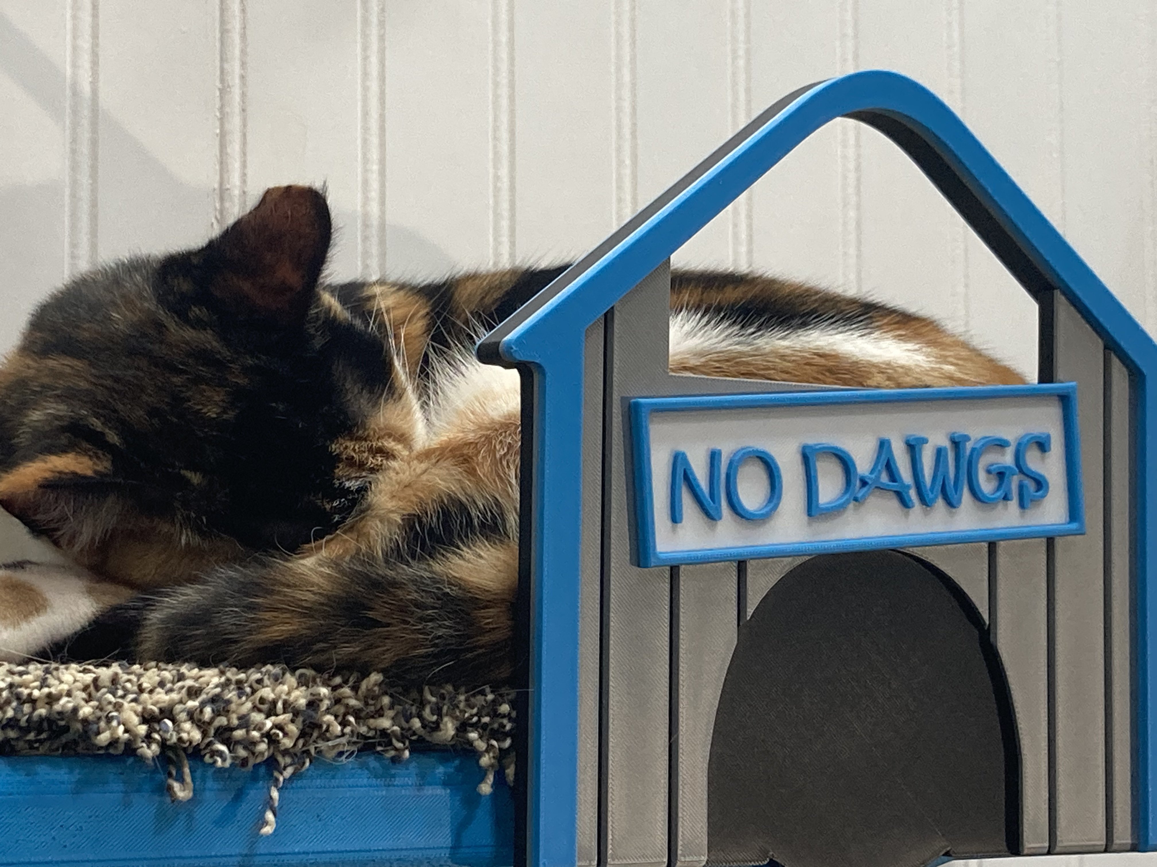 Renee sleeping on her NoDawgs Stock Cathouse