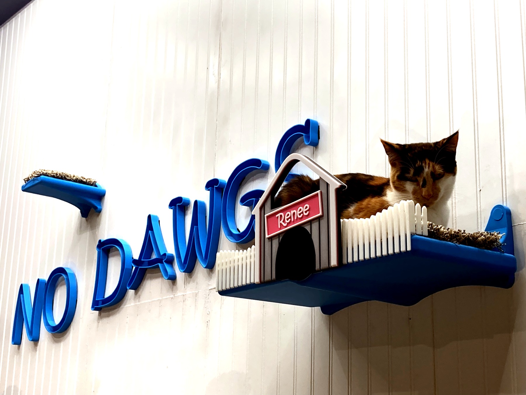 NoDawgs wall in an adoption center